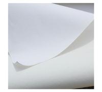 Rouleau De Toile Vierge Rouleau de toile vierge en coton blanc apprêté, 280g, for la pratique peinture à main, 28/38/48/58cm large For Débutants(48cm x 5m)