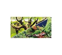 Rouleau double face Hobby Secret/ Wood Island 0,30 cm Vert TU