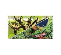 Rouleau double face Hobby Secret/ Wood Island 0,60 cm Vert TU