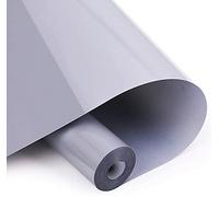 Rouleau Flex Thermocollant pour Tissu-30.5cm×3m pour Cricut & Silhouette Cameo-Rouleau Vinyle Thermocollant,Très Résistant pourT-Shirts et Vêtements, Facile à Couper et à Désherber(Argenté)