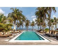 Rouleau liner armé 200/100ème de 1.65 x 21 m - Vogue - Tropical