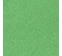 Canson Rouleaux Papier de soie 0,5 x 5 m Vert franc