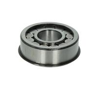 Roulement à aiguilles, corps de l'essieu DT Spare Parts 1.16069