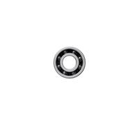 Ceramicspeed 6001 Coated Bearings Argenté 28 x 12 x 8 mm