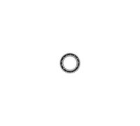 Ceramicspeed 61701 Bearings Argenté 18 x 12 x 4 mm