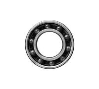 Ceramicspeed Roulements 61902-2rsf/hc5 Coated