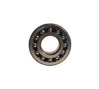 Roulement à rotule sur billes SKF 1205 ETN9