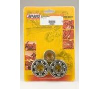 Roulement de vilebrequin Hot Rods avec joints spi
