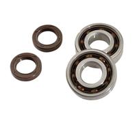 Roulement Ou Joint Spi Moteur Doppler Pour Scooter Peugeot 50 Django 2t Neuf