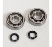 Roulement Ou Joint Spi Moteur Rsm Pour Mobylette Mbk 50 41 6302 Qr C3 16x42x13 Av7 Av10 Neuf