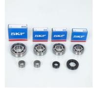 Roulement ou joint spi moteur RSM pour Moto Beta 50 RR FACTORY kit roulement spi de boite AM6 Neuf