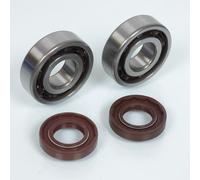 Roulement Ou Joint Spi Moteur Rsm Pour Moto Gilera 50 Smt Avant 2020 6204 Tvh C4 Tpi Neuf