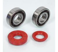 Roulement Ou Joint Spi Moteur Rsm Pour Scooter Cpi 50 Popcorn Avant 2020 6204 Tvh C4 Tpi Neuf