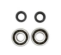 Roulement Ou Joint Spi Moteur Rsm Pour Scooter Peugeot 50 Ludix One 10p 2004 À 2007 Neuf