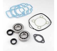 Roulement Ou Joint Spi Moteur Teknix Pour Scooter Piaggio 50 Nrg Neuf