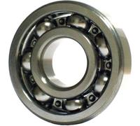 Schaeffler Roulement FAG 6300