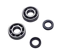 ROULEMENT VILO + JTS SPI SCOOTER ADAPT. LUDIX/SPEEDFIGHT 3/VIVACITY 3/KISBEE SKF POLYAMIDE