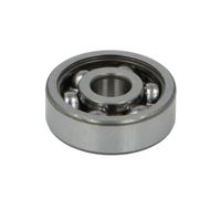 Roulements à billes à gorge profonde SKF 6300