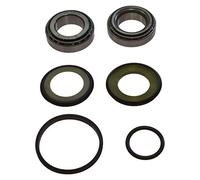 Roulements de Direction Pour Fx 450 I.e. Traverser année 2011 de All Balls Racing