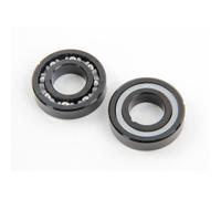 Roulements de turbine pour nettoyeur de piscine - Hayward