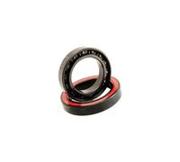 Roulements Enduro Bearings CØ 699 VV-9x20x6 Multicolore