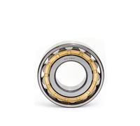 Roulements, Roulement à rouleaux cylindriques N 1004 1005 1006 1007 N1008 1009 1010 1011 1012 1013 EM Haute vitesse et durabilité Longue durée de vie,Compatibilité polyvalente(N1007EM 35x62x14)