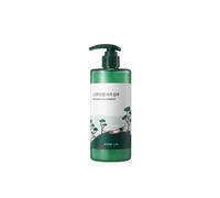 ROUND LAB - Pine Calming Cica Shampoo - Shampoing apaisant