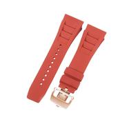 ROUREOX Bracelet Montre Silicone 25mm Respirant, Bande Caoutchouc Sportif, Remplacement Gomme Boucle Métal pour Richard Mille RM-11-F3