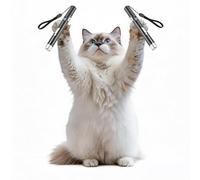Rouzin Lot de 2 pointeurs LED pour chat - Pêche interactive pour chat - 5 motifs - Rechargeable par USB - Lampe de poche portable pour l'entraînement et la chasse