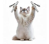 Rouzin Lot de 2 pointeurs LED pour chat - Pêche interactive pour chat - 5 motifs - Rechargeable par USB - Lampe de poche portable pour l'entraînement et la chasse