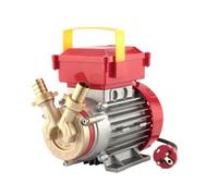 Rover Pompe CE 20 - Pompe électrique de transvasement deux voies - Idéale pour vin, eau, carburant