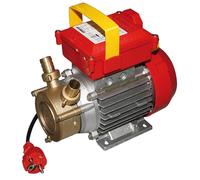 ROVER Pompe électrique de transfert Rotation Réversible 340 W raccords 20 mm