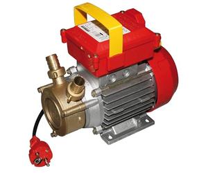 ROVER Pompe électrique de transfert Rotation Réversible 340 W raccords 20 mm