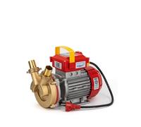 Rover pompes BEM-30-1500rpm phase pompe 1,0