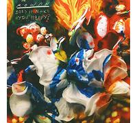 Rowan – Does It Make You Happy? – Vinyle 12" (Album) – Membran