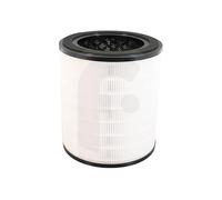 Rowenta XD6280 Pure Air City Filtre pour purificateur d'air Rowenta PU2840 Filtre HEPA à 360° Gris