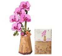 rowood Fleurs artificielles Phalaenopsis violettes - Puzzle 3D - Fleurs en bois - Kit de modélisation à assembler - Kit de bricolage pour adultes - Décoration d'intérieur et cadeau de Saint-Valentin