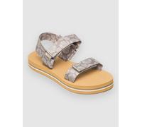 Roxy Cage Sandales gris 6.0