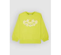 Roxy Morning Hike Terry Rg Kids Sweat vert T08