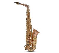 Saxophone GENERIQUE Roy Benson Student Series Saxophone Alto Mib AS-202G