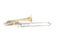Roy Benson BT-260 Trombone Basse Sib avec Etui