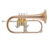 Roy Benson Pro Series Bugle en Sib FH-302G laiton verni Rose