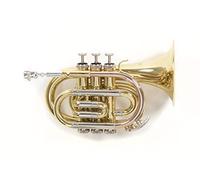 Roy Benson MOD.PT-302 BB Finition laquée, diamètre de cloche 125 mm, trompette de poche avec étui rectangulaire léger