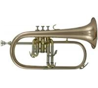 Roy Benson Pro Series Bugle en Sib FH-302G laiton verni