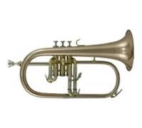 Roy Benson Pro Series Bugle en Sib FH-302G laiton verni Rose
