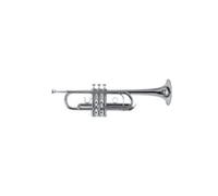 Trompette GENERIQUE Roy Benson Pro Series Trompette en Ut TR-402C laiton verni