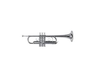 Roy Benson Pro Series Trompette en Ut TR-402C laiton verni