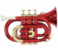 Roy Benson PT-101R Bb Trompette