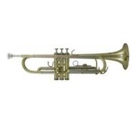 Roy Benson Student Pro Series Trompette en Sib TR-202