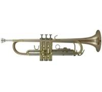 Roy Benson Student Pro Series Trompette en Sib TR-202G